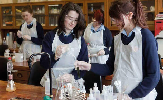 curso escolar en Irlanda