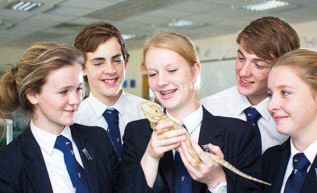 ano escolar en Reino Unido (7)