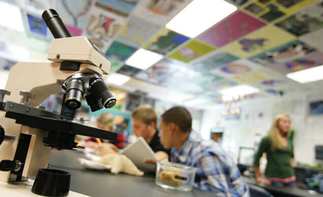 sistema-educativo-en-USA