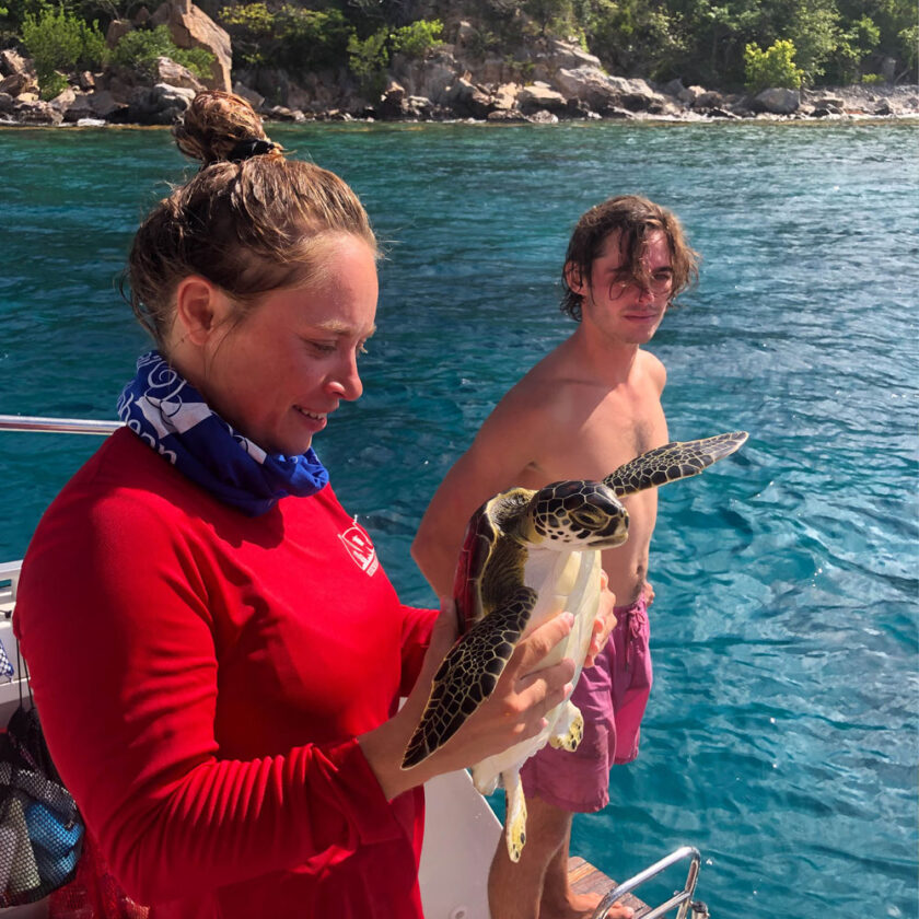 curso inglés en el Caribe